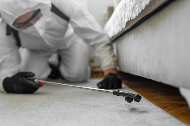 Professional Termite Control technician working in Lancaster County County, NE